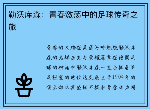 勒沃库森：青春激荡中的足球传奇之旅