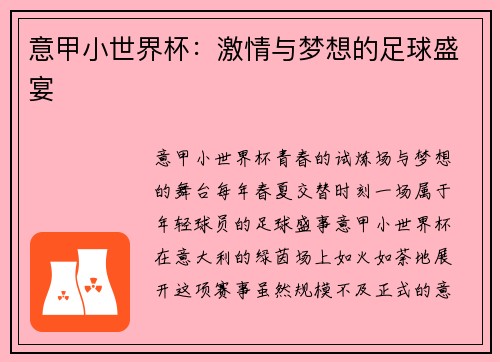 意甲小世界杯：激情与梦想的足球盛宴